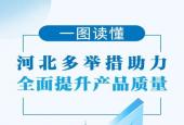 一图读懂｜河北多举措助力全面提升产品质量