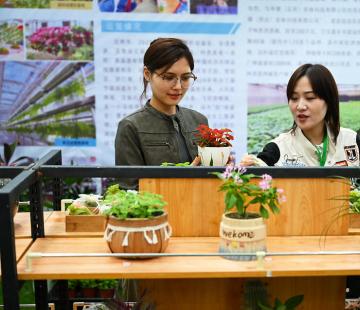 “双节”临近 花市升温