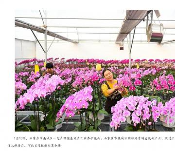 影像河北丨走进乡村看振兴