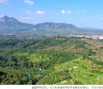 奋进的河北｜逐绿而行谱新篇